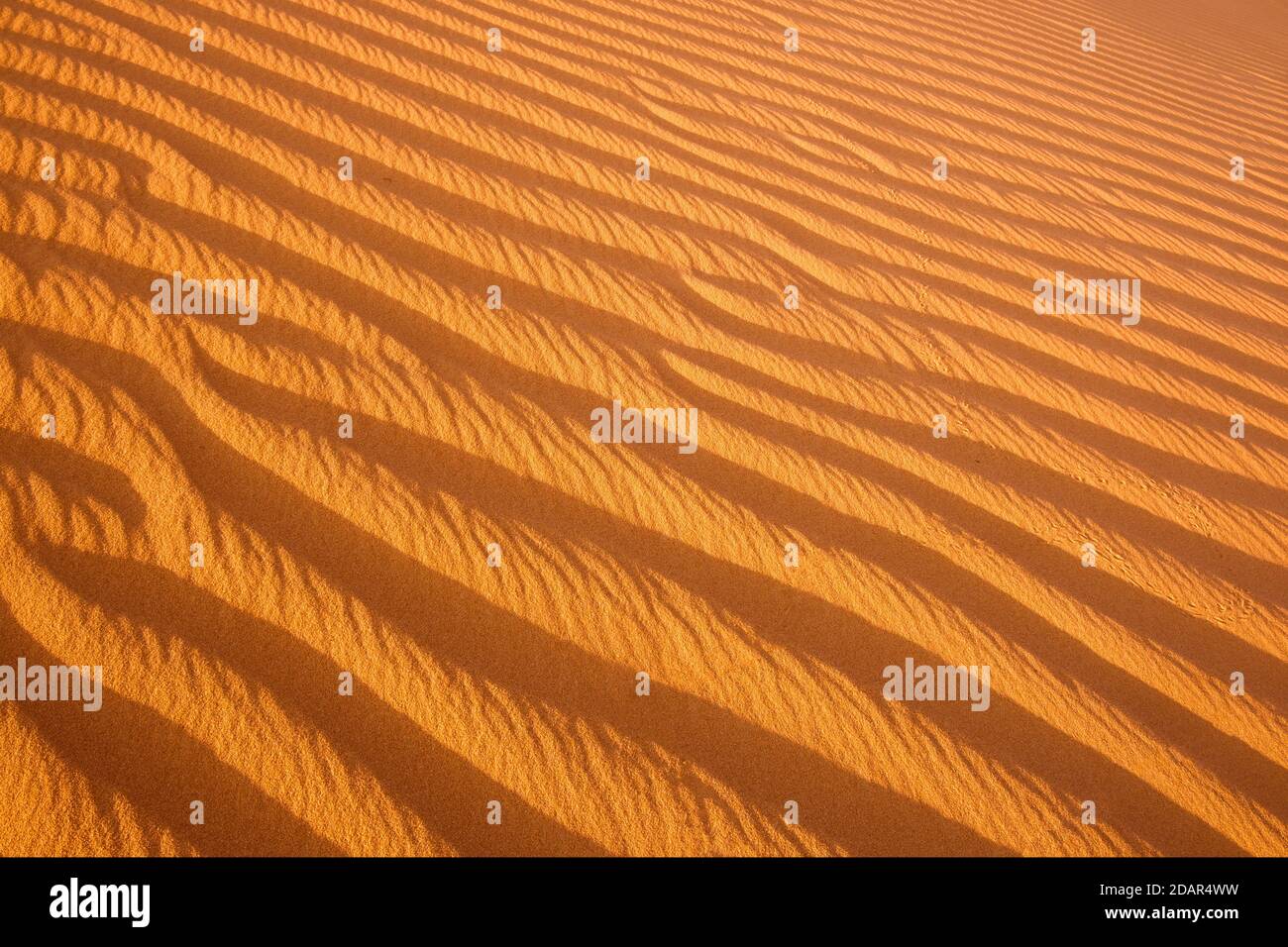 Golden desert sand texture as background Stock Photo - Alamy