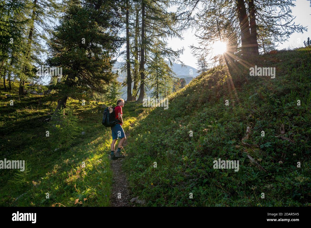 Hiker on Funtenseetauern hiking trail, sunshine in the forest, morning sun, Berchtesgaden National Park, Berchtesgadener Land, Upper Bavaria, Bavaria Stock Photo