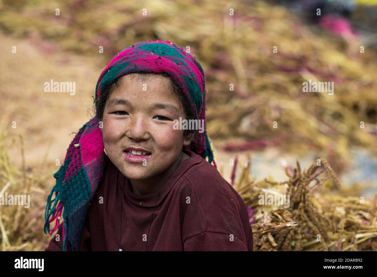 A little girl sitting in a pile of pearl millet, Manaslu region
