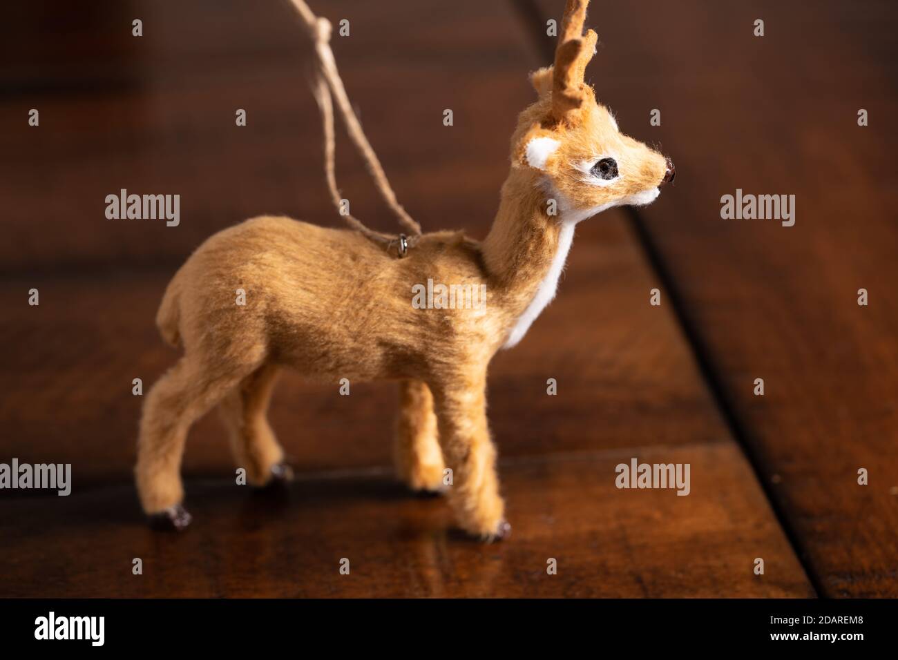 Miniature reindeer hi-res stock photography and images - Alamy