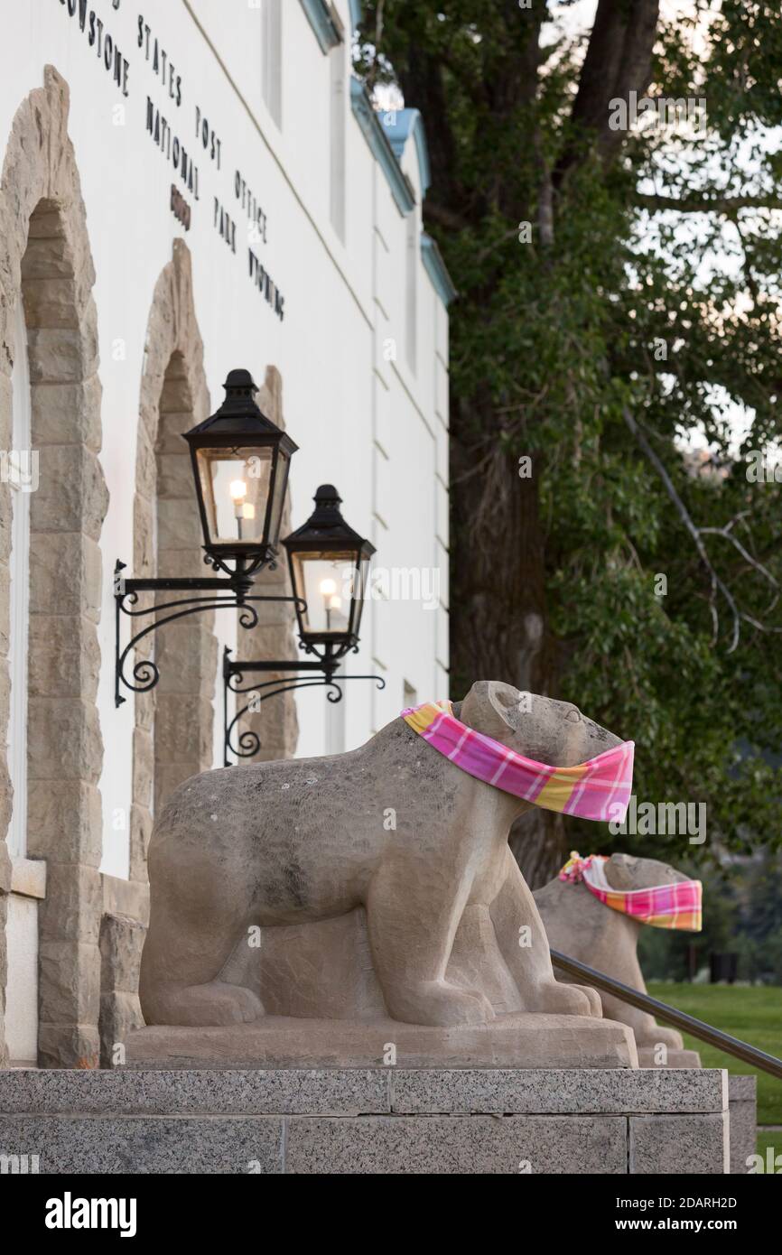 Bear sculptures at Yellowstone National Park’s post office wear face masks on Sunday, August 2, 2020. The park recently reported several positive case Stock Photo