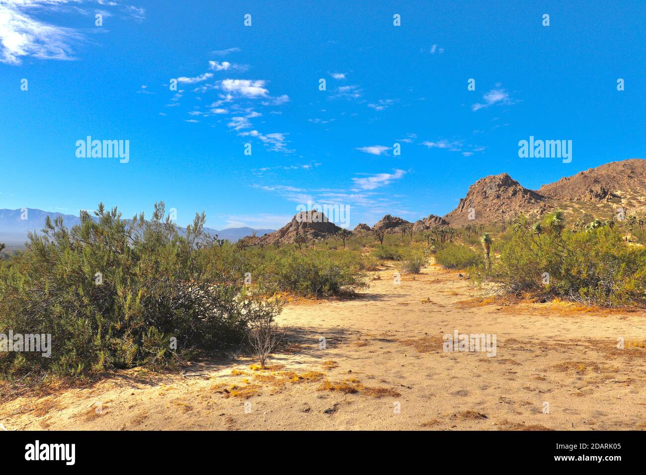 Desert Landscape in the Southern California City Lake Los Angeles with Mountains and boulders Stock Photo