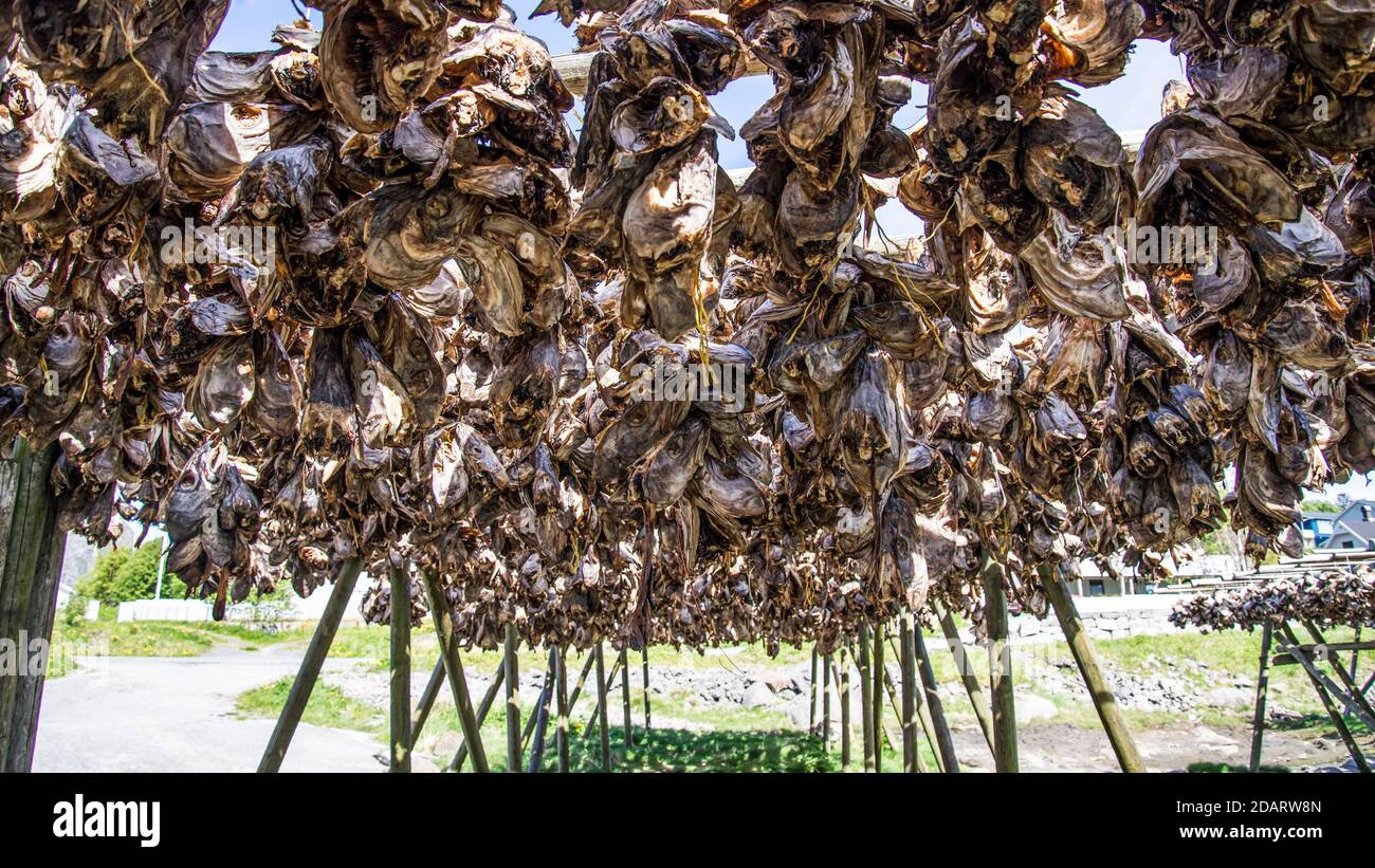 Dreid Fish Rack Fish head drying racks hi-res stock photography and images - Alamy