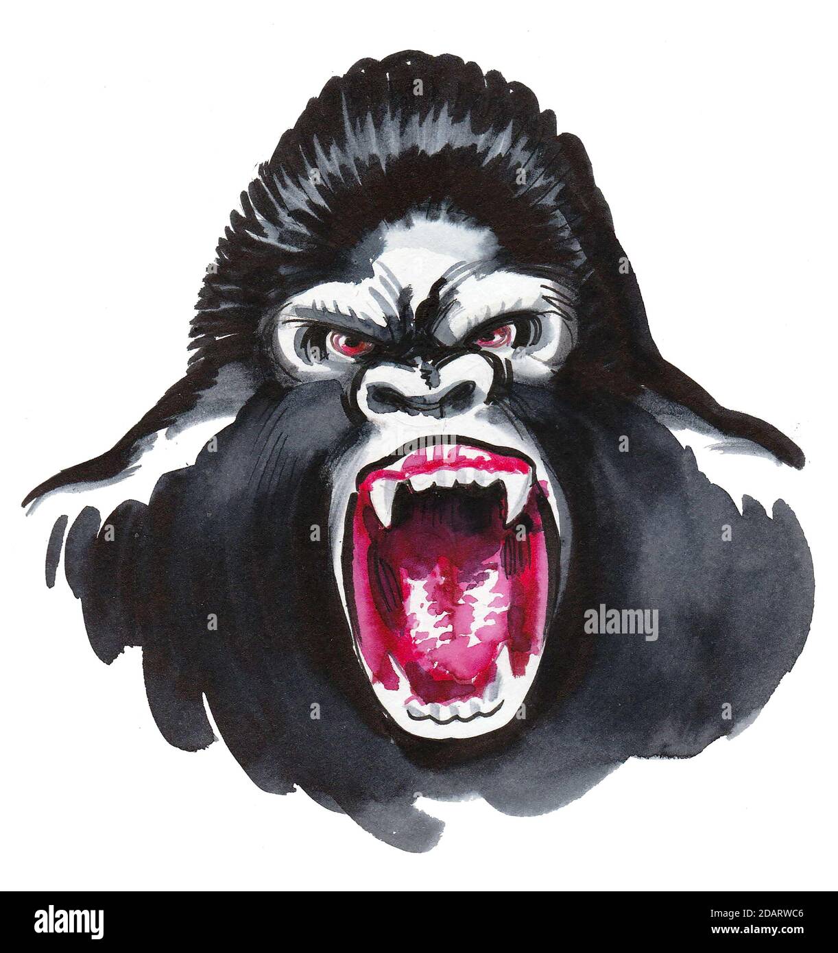 Angry roaring gorilla face. Ink and watercolor drawing Stock Photo