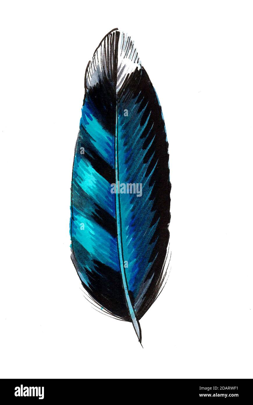 Blue Bird S Feather Ink And Watercolor Drawing Stock Photo Alamy Blue Bird S Feather Ink And Watercolor Drawing Stock Photo Alamy