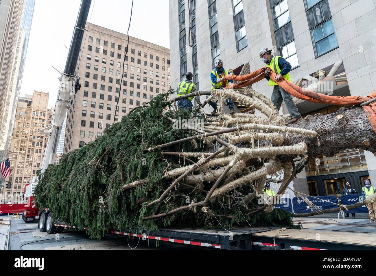season 75foot Rockefeller Center Christmas, Norway. , . Spruce Tree