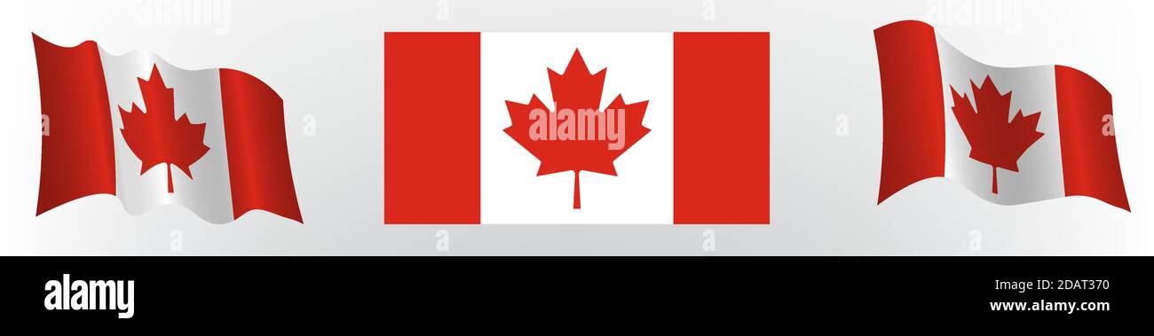 Flag of Canada in a static position and in motion, developing in the wind, on a white background Stock Vector