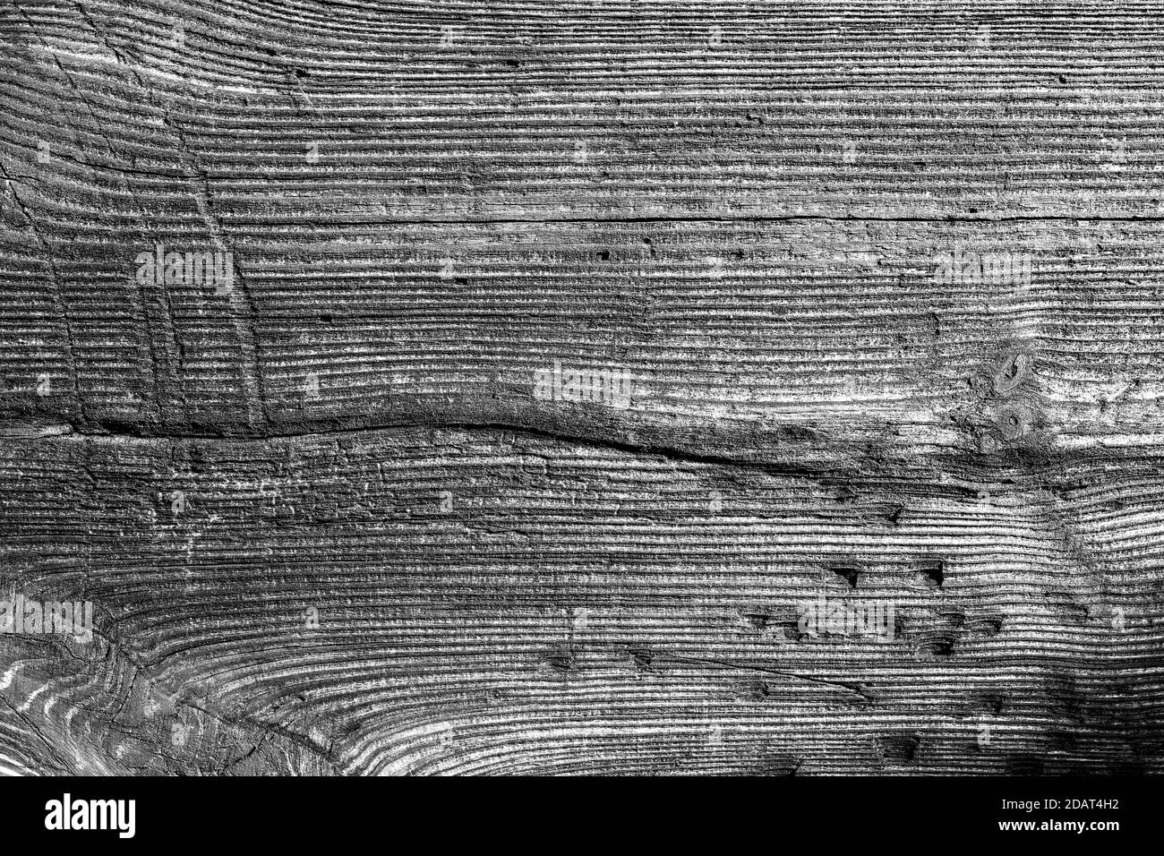 Old wood structure, wood pattern, plank, board. 200 years old wooden wall. Sharp, good visible growth rings, parallel lines and curves. Stock Photo