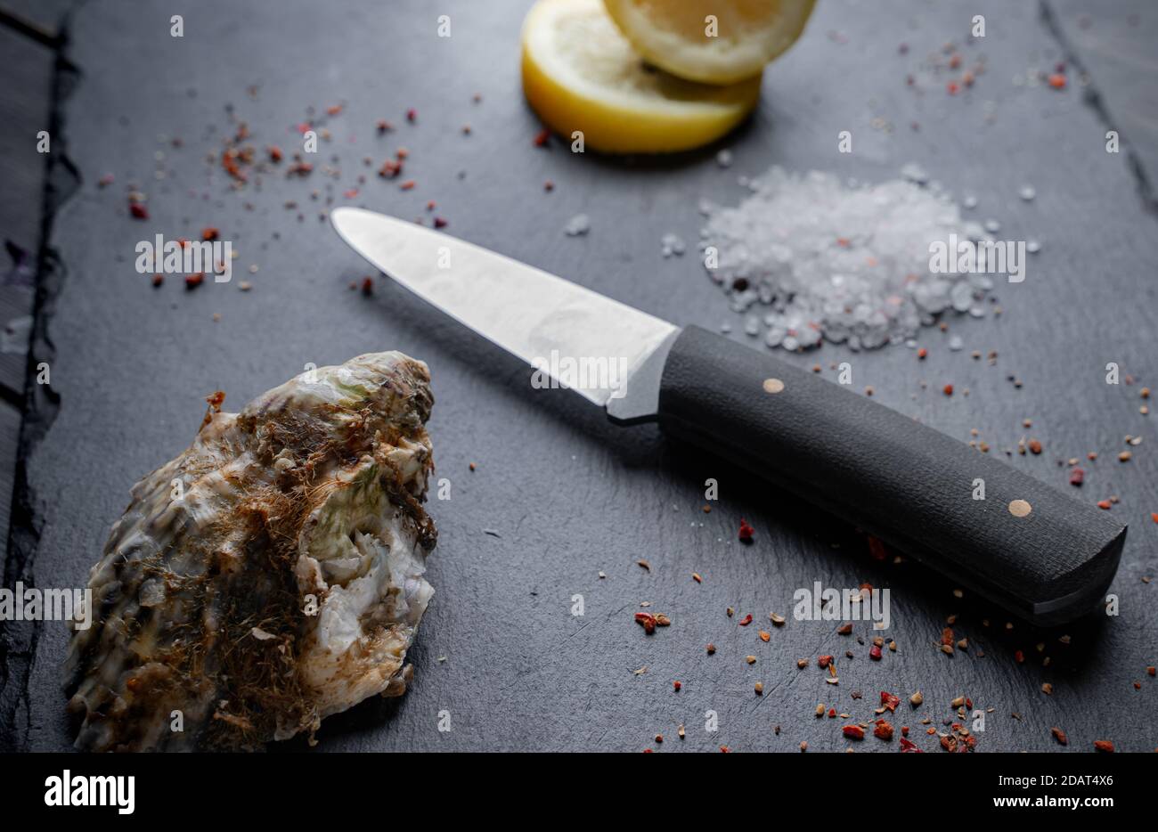 Fresh oyster on on a black stone background with lemon and spices. Top view Stock Photo
