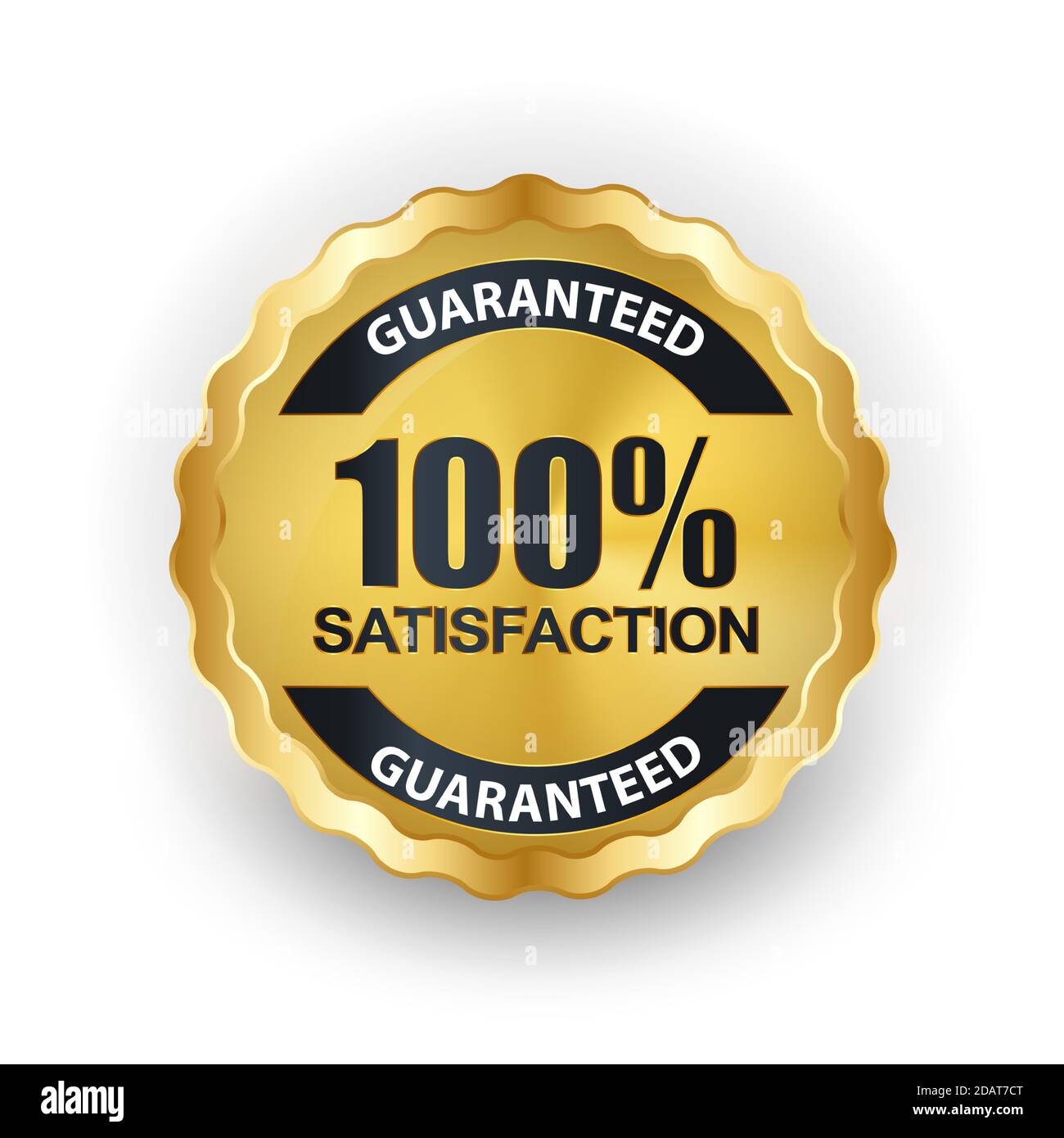 Vector 100 satisfaction guaranteed label on white background Stock Vector