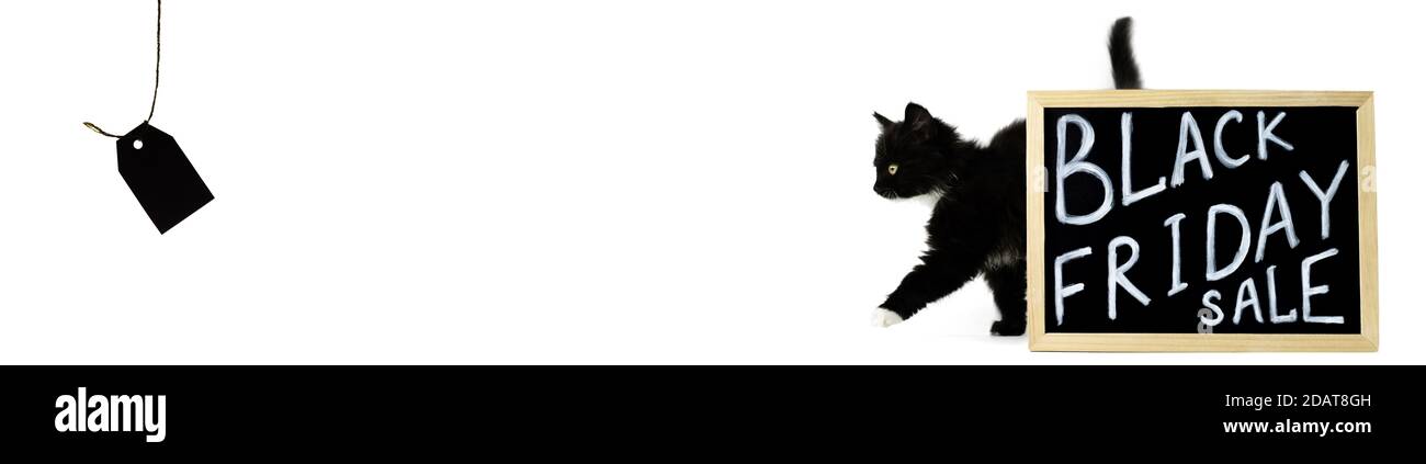 Black kitten moves out from behind a sign with a white chalk inscription Black Friday Sale towards the price tag. Banner, isolated on a white backgrou Stock Photo