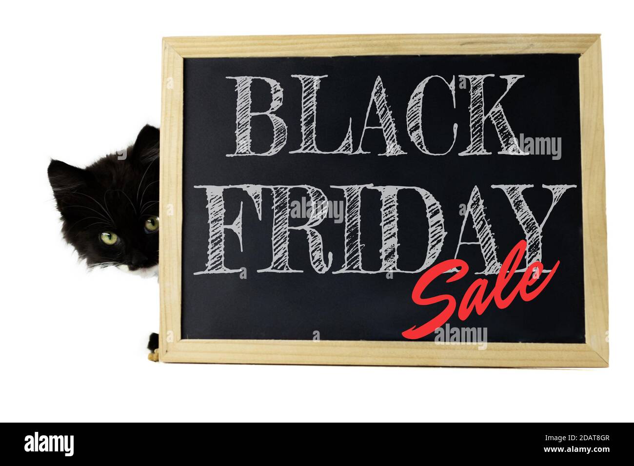 Black kitten peeks out from behind a sign with a white chalk inscription Black Friday Sale, isolated on a white background Stock Photo