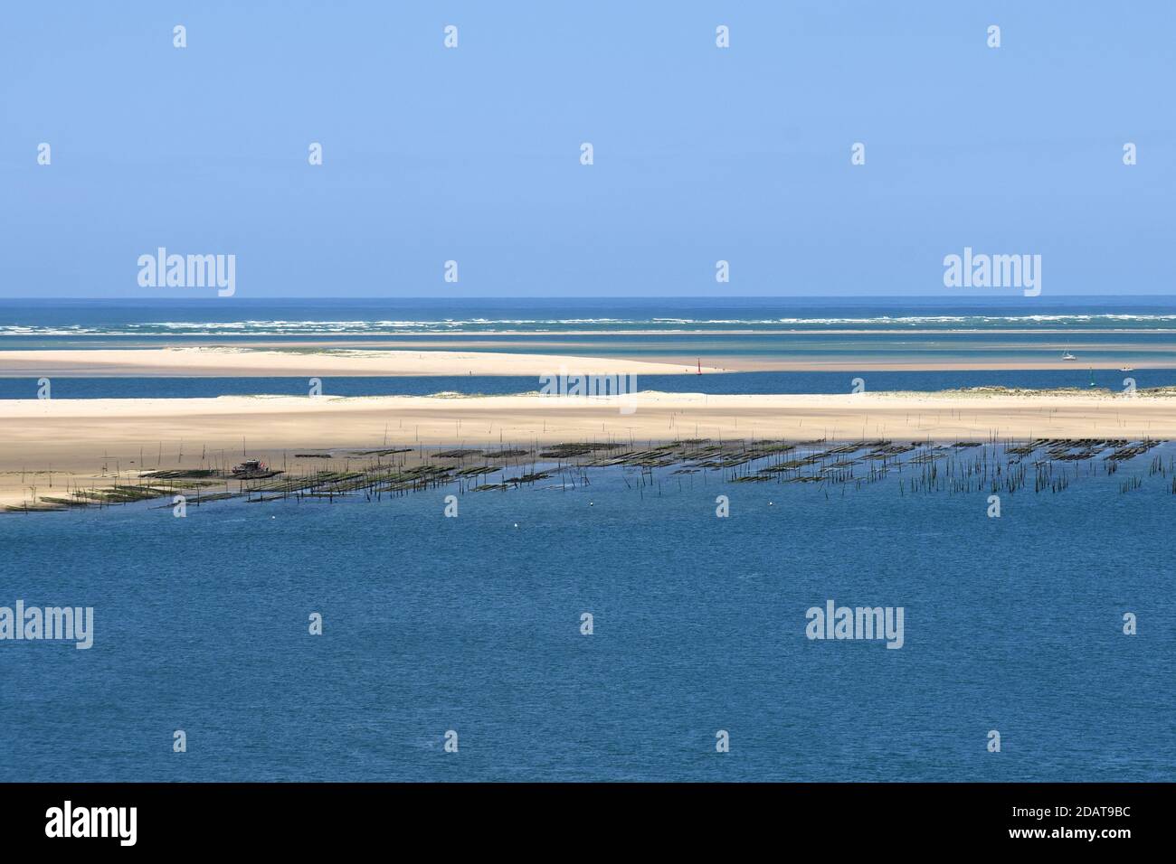 France, Aquitaine, oysters beds of the Arguin sandbank in the Arcachon basin on the atlantic