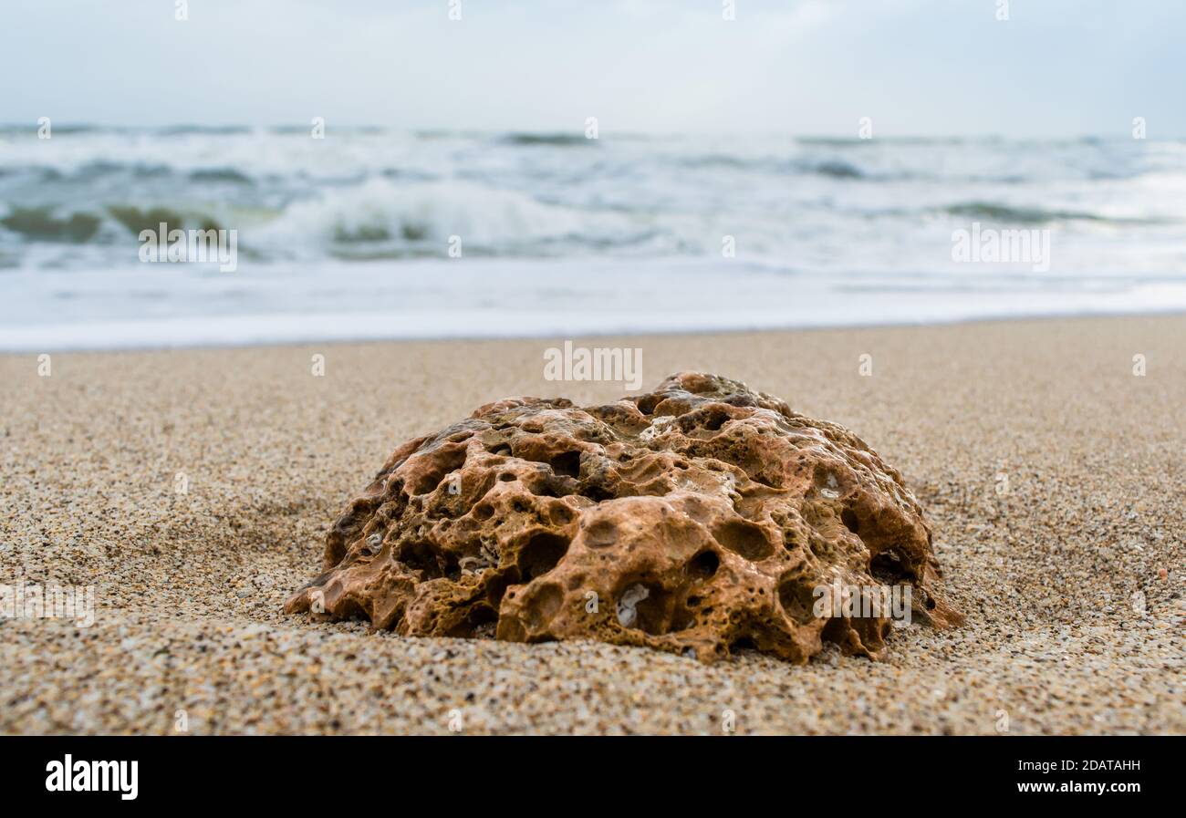coral and sea-shell at sea beach of somnath temple of somnath Gujarat India Stock Photo