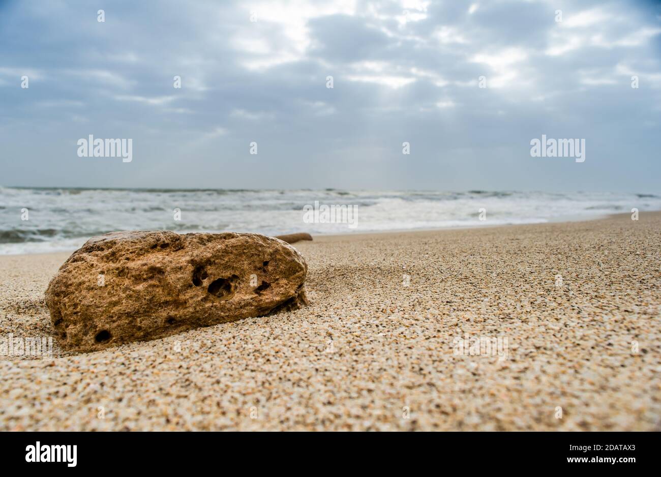 coral and sea-shell at sea beach of somnath temple of somnath Gujarat India Stock Photo