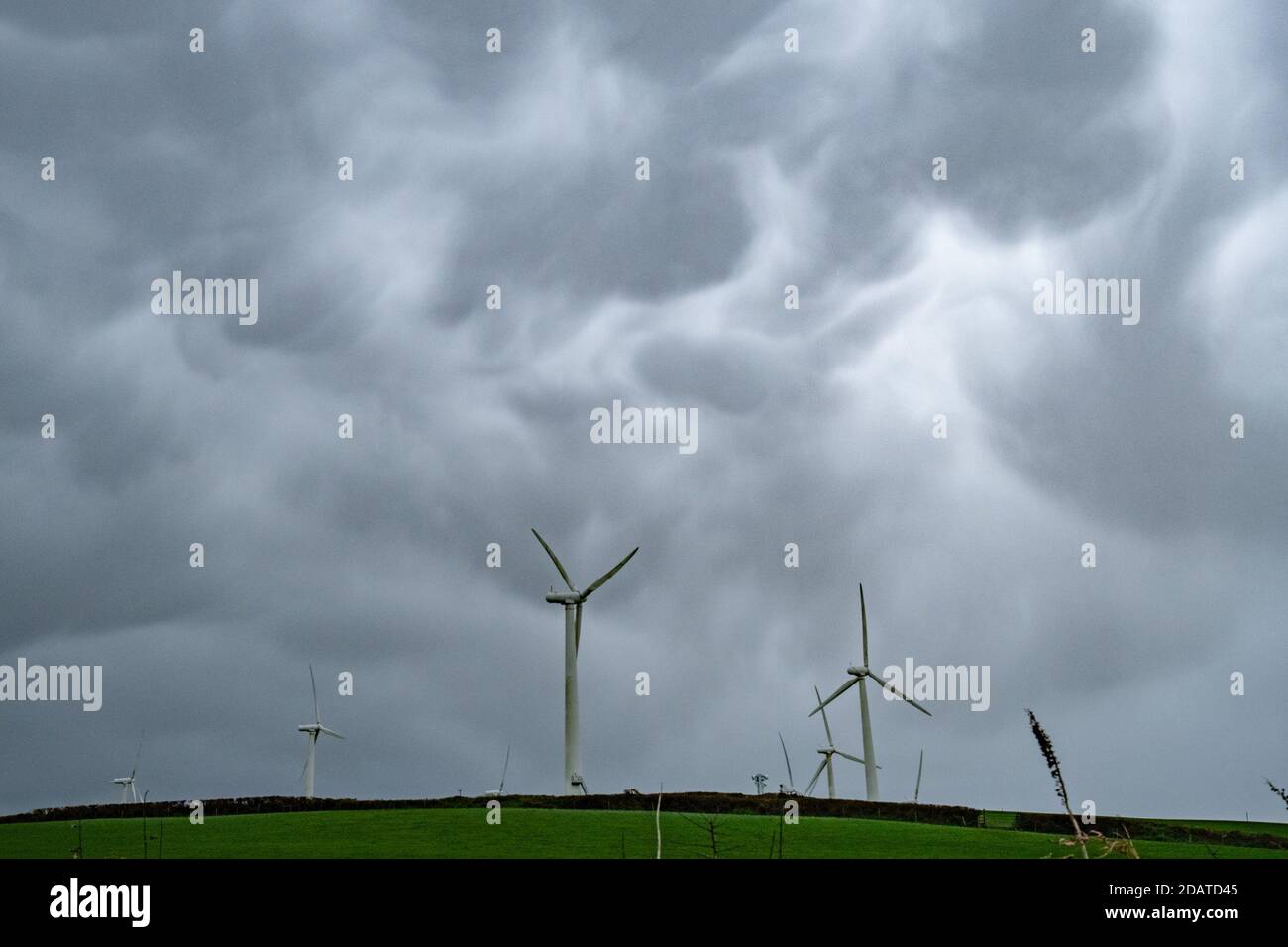 St Eval, Cornwall, UK. 15th November 2020. UK Weather. North Cornwall had a mix of sunshine and heavy rain this morning, as Mammutus clouds moved rapidly across the sky this morning.  Credit CWPIX / Alamy Live News. Stock Photo