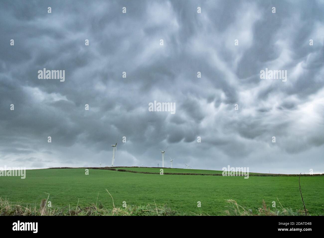 St Eval, Cornwall, UK. 15th November 2020. UK Weather. North Cornwall had a mix of sunshine and heavy rain this morning, as Mammutus clouds moved rapidly across the sky this morning.  Credit CWPIX / Alamy Live News. Stock Photo