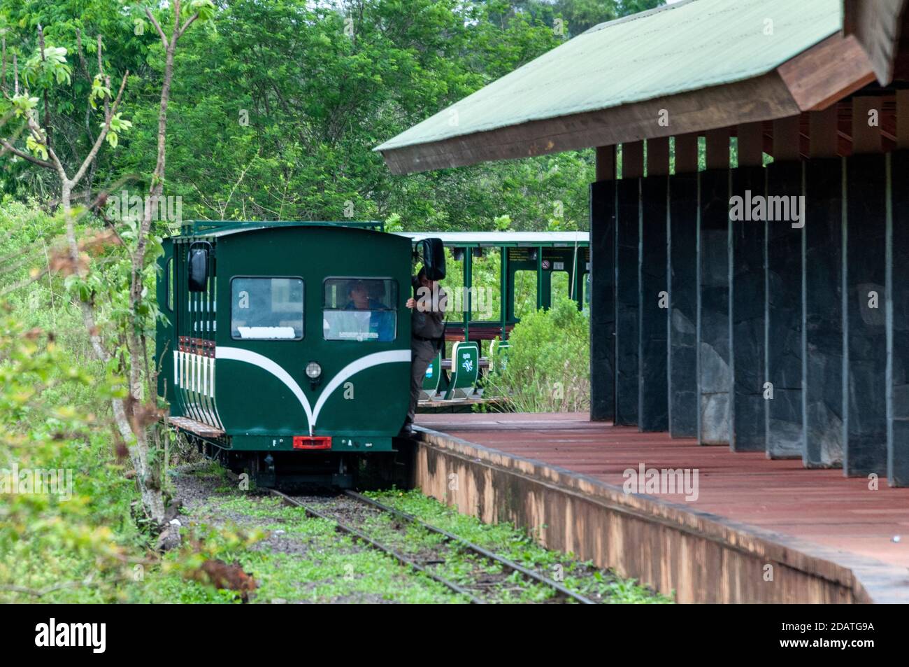 The Jungle train (Rainforest Ecological Train) carrying passengers, approaching Central Station in the Iguazu National Park of Argentina.   The little Stock Photo