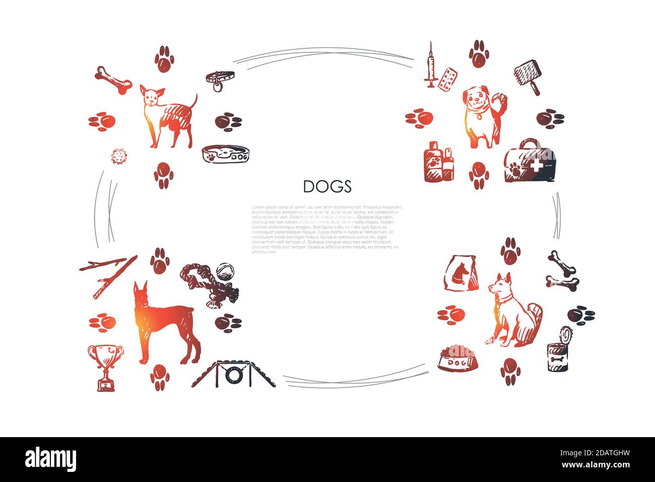 Dogs - different dog breeds with food, bones, collar, footprints, bowl, vet objects vector concept set Stock Vector