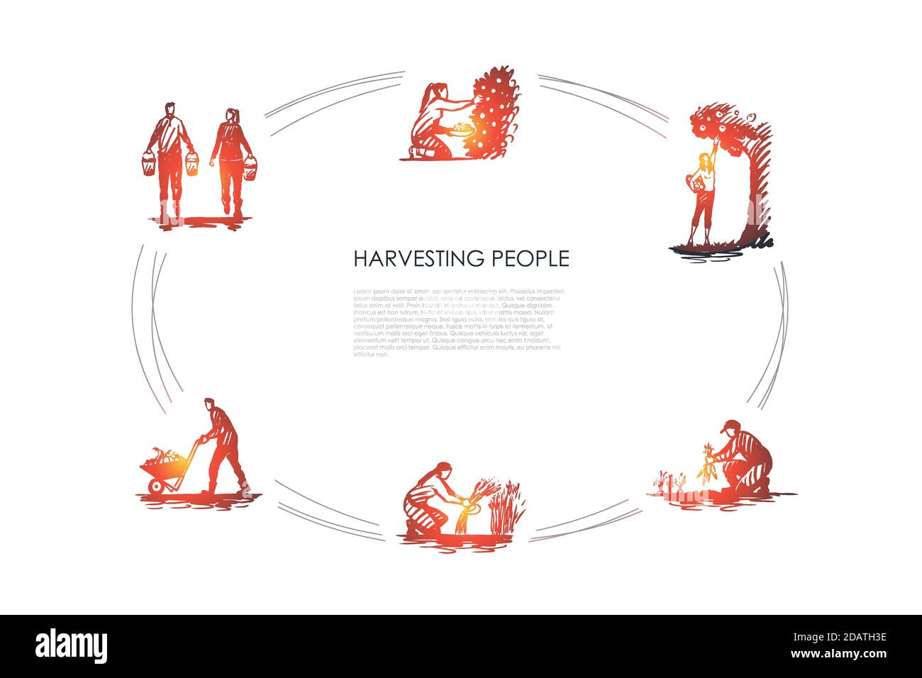 Harvesting people - people picking fruits and carrots, binding grass, carrying and transporting harvest vector concept set Stock Vector