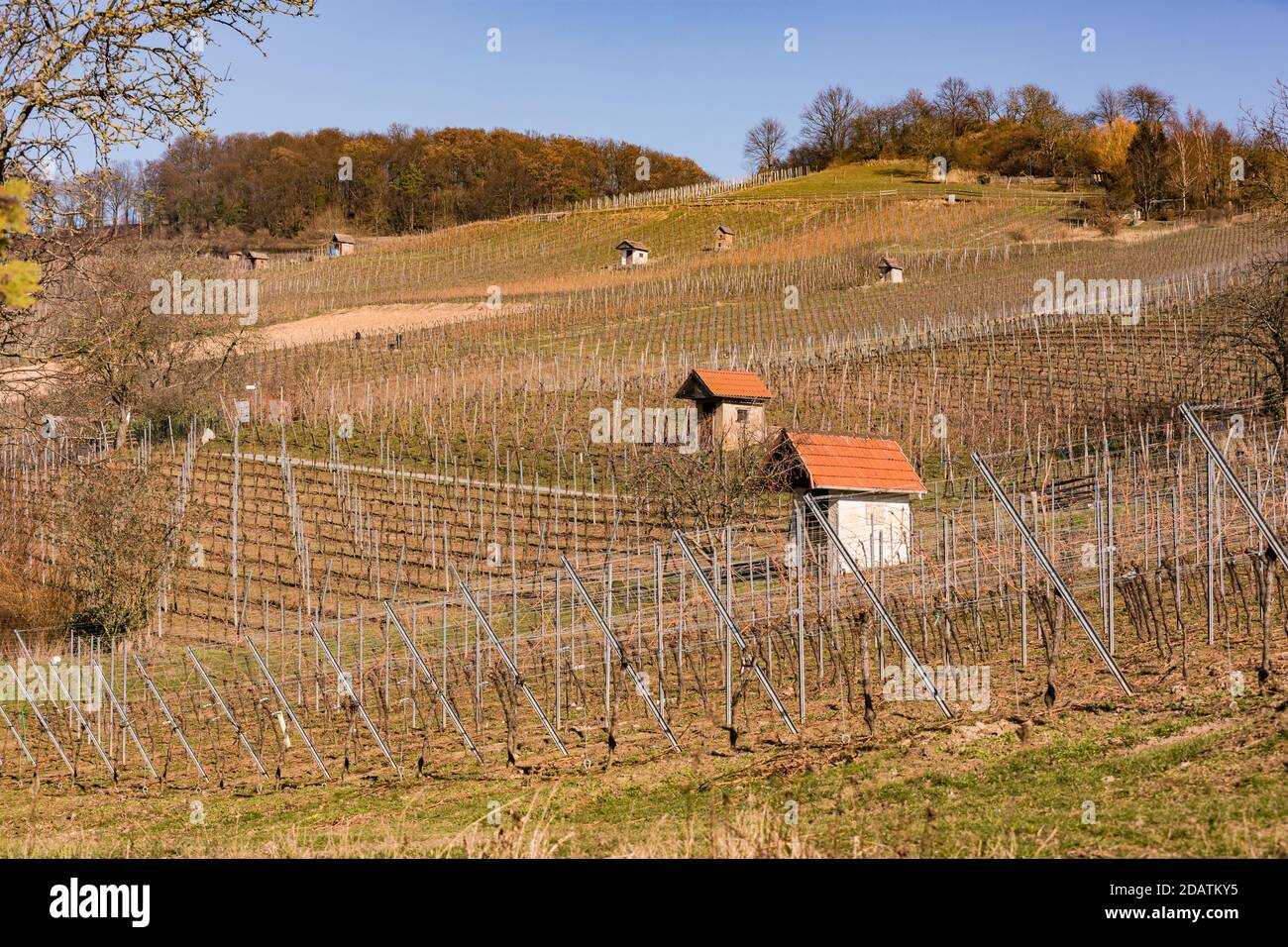 Hillside location with several houses in the cultural landscape of viticulture in the heart of Europe Stock Photo