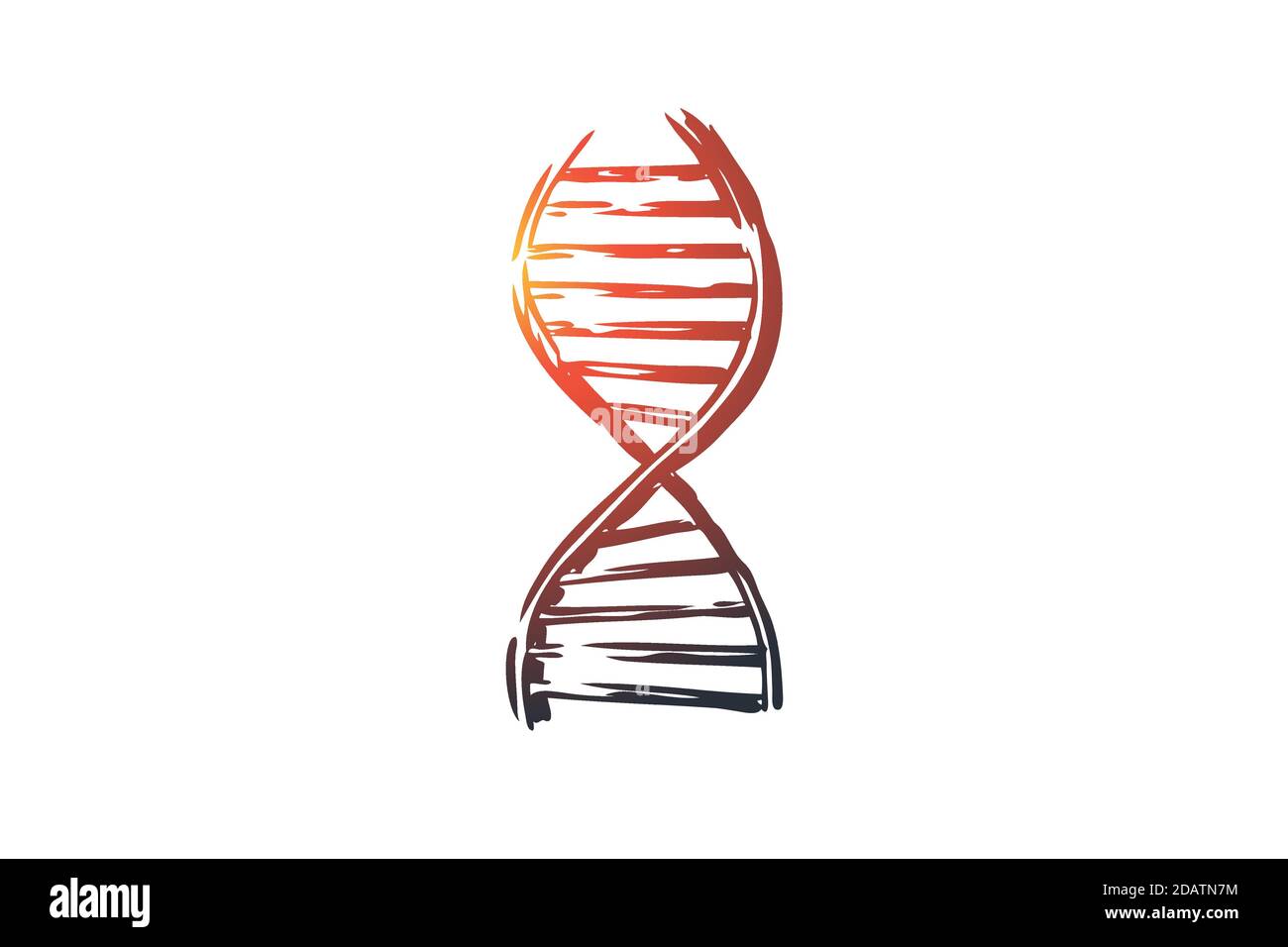 Isolated Dna Drawing DNA, medicine, genetic, biology, science concept. Hand drawn isolated ...