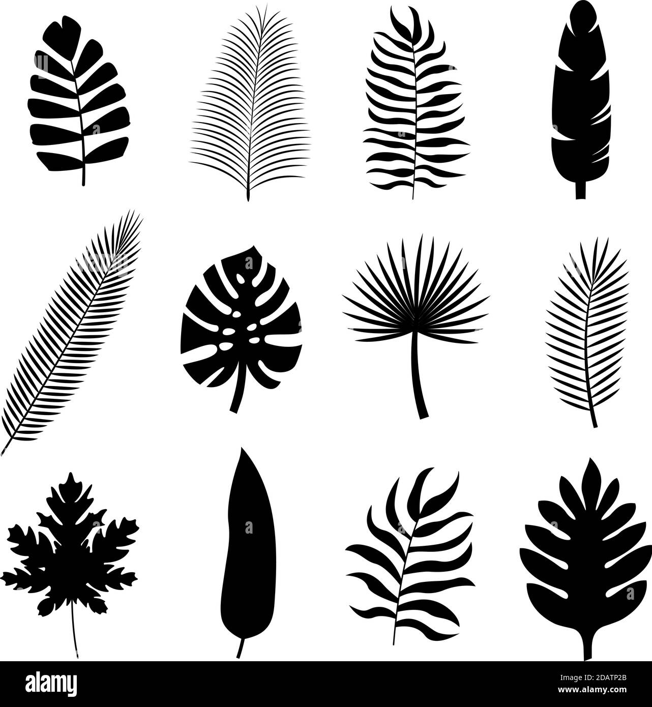 Set black tropical silhouettes of palm leaves. Monstera, coconut, banana, mango, chamaedorea. Vector illustration on white background Stock Vector