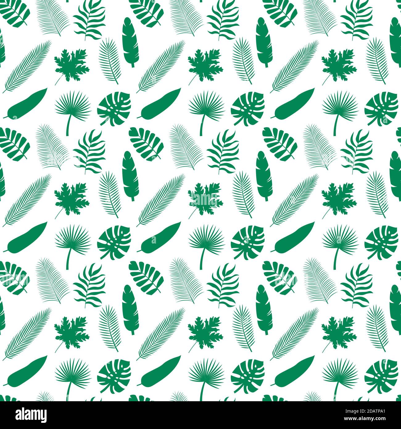 Seamless pattern tropical silhouettes of palm leaves. Monstera, coconut, banana, mango, chamaedorea. Vector illustration on white background Stock Vector