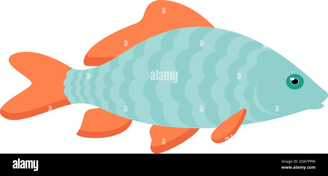 Little carp fish illustration. One single animal, side view, close up. Handdrawn graphic drawing on white background. Stock Vector