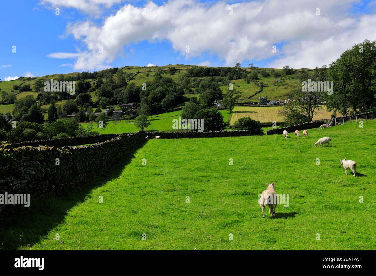 Summer view over Troutbeck village, Troutbeck valley, Kirkstone pass, Lake District National Park, Cumbria, England, UK Stock Photo