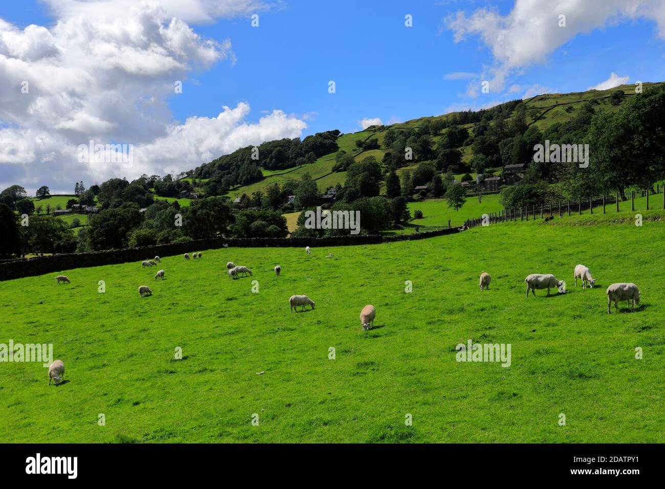 Summer view over Troutbeck village, Troutbeck valley, Kirkstone pass
