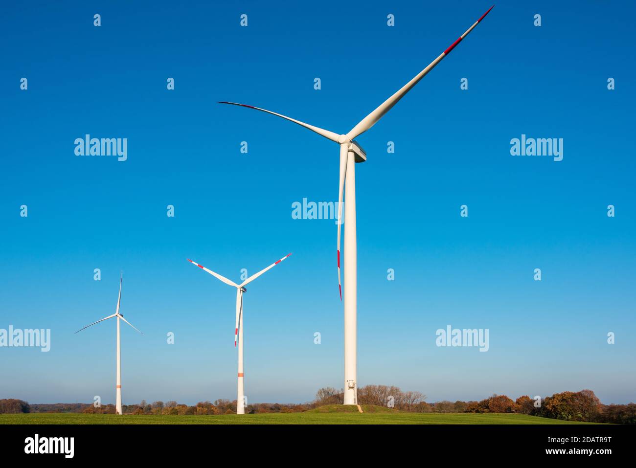 Windpark auf einem Feld in Schleswig-Holstein im Herbst vor strahlend blauem Himmel Stock Photo