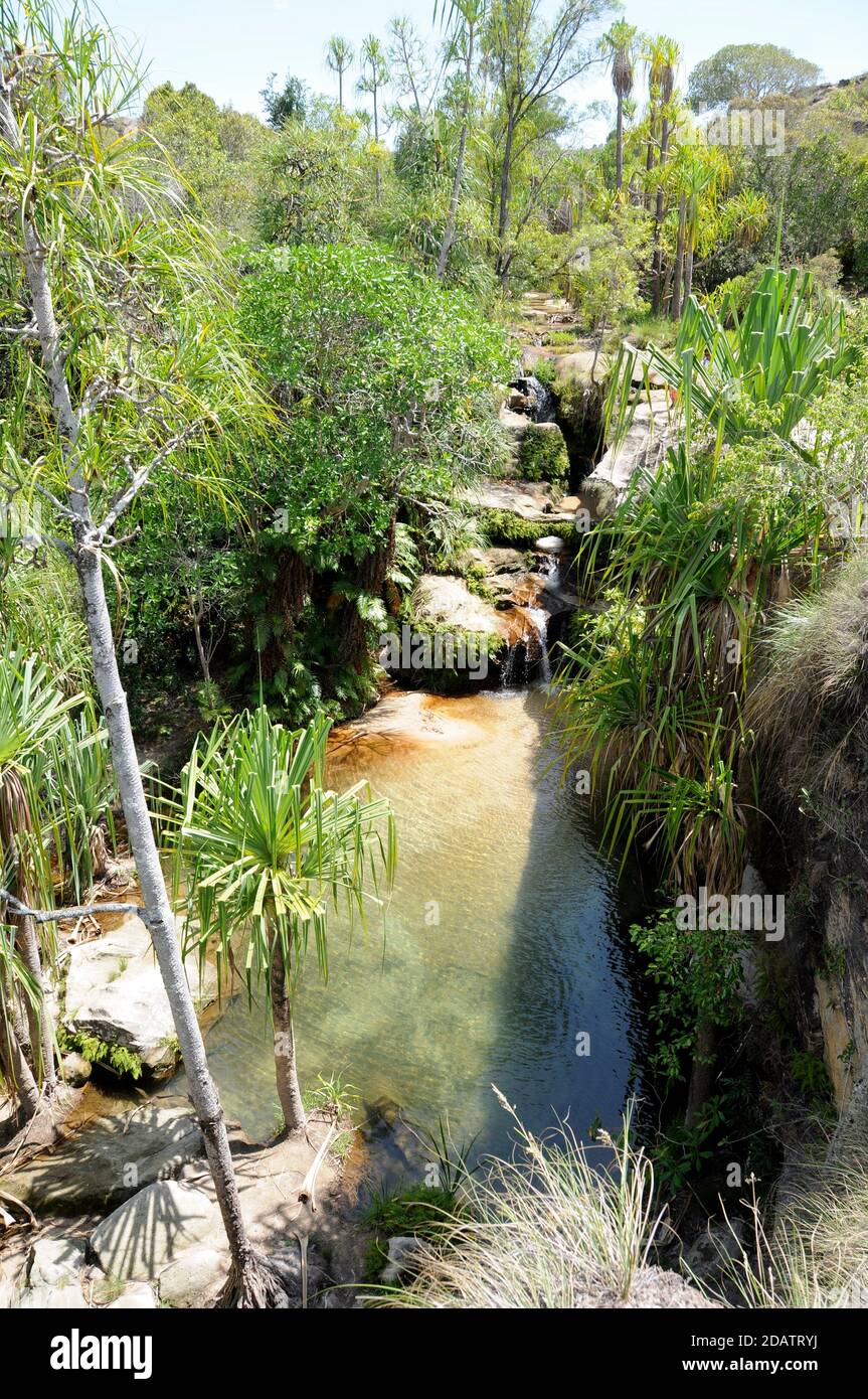 'La piscine naturelle' a freshwater pool surrounded by trees in Isalo national park, Madagascar Stock Photo