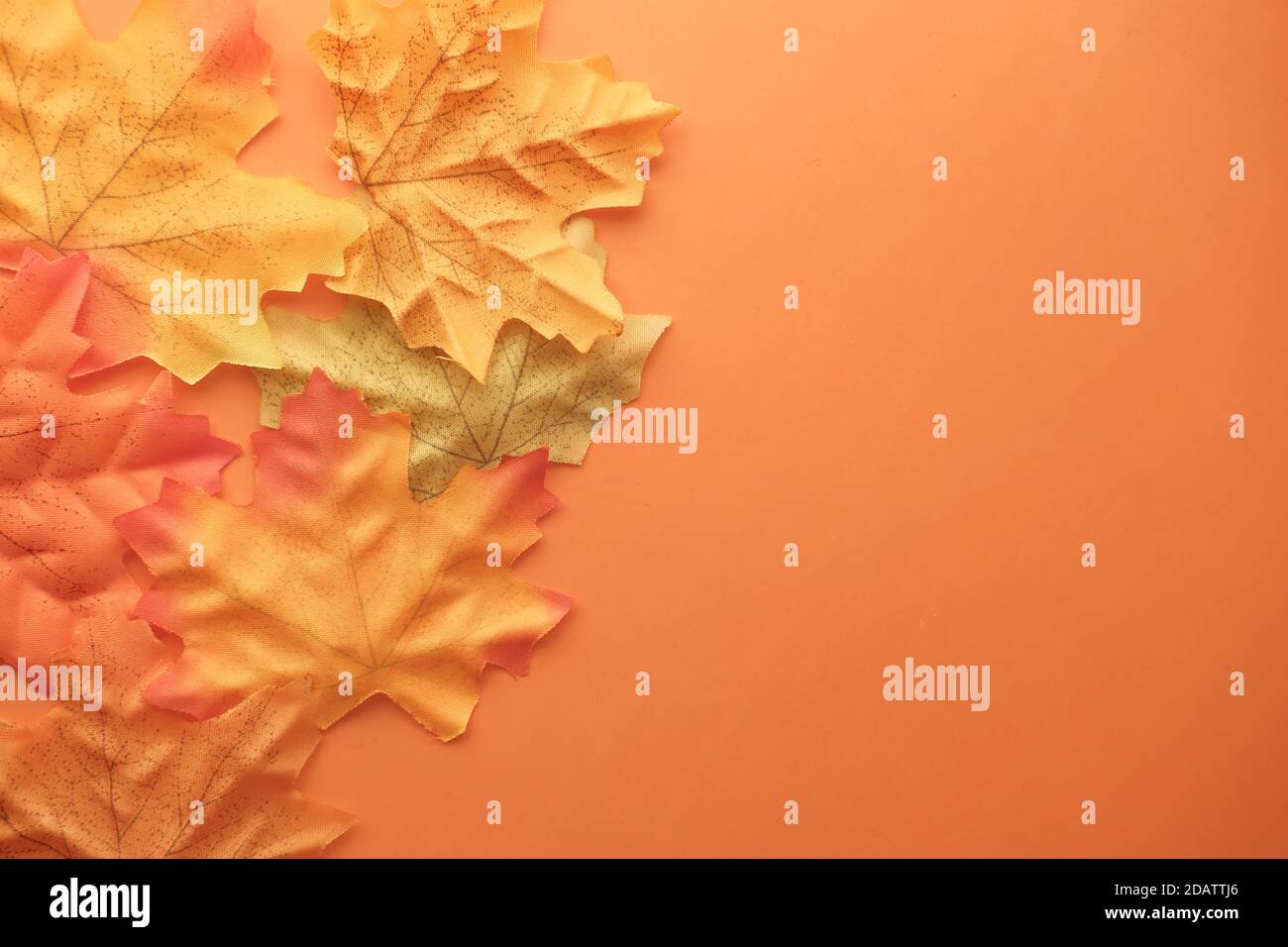 autumn maple leaves on orange background, top down Stock Photo