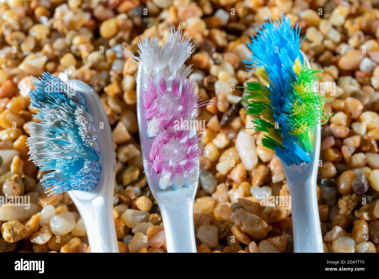 Old toothbrushes. Disposal of household waste. Pollution of nature