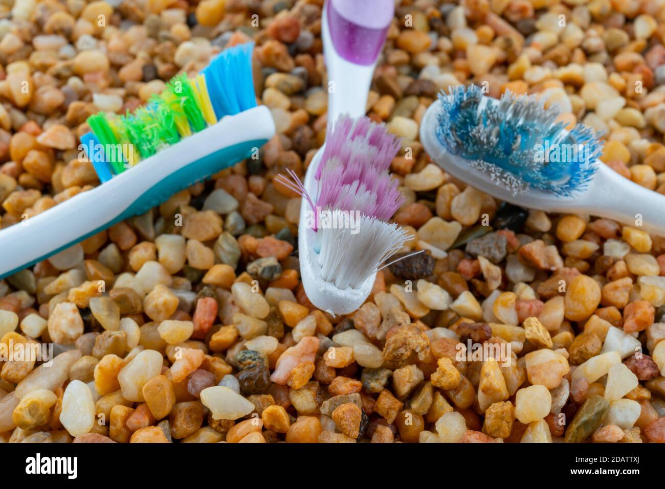 Old toothbrushes. Disposal of household waste. Pollution of nature