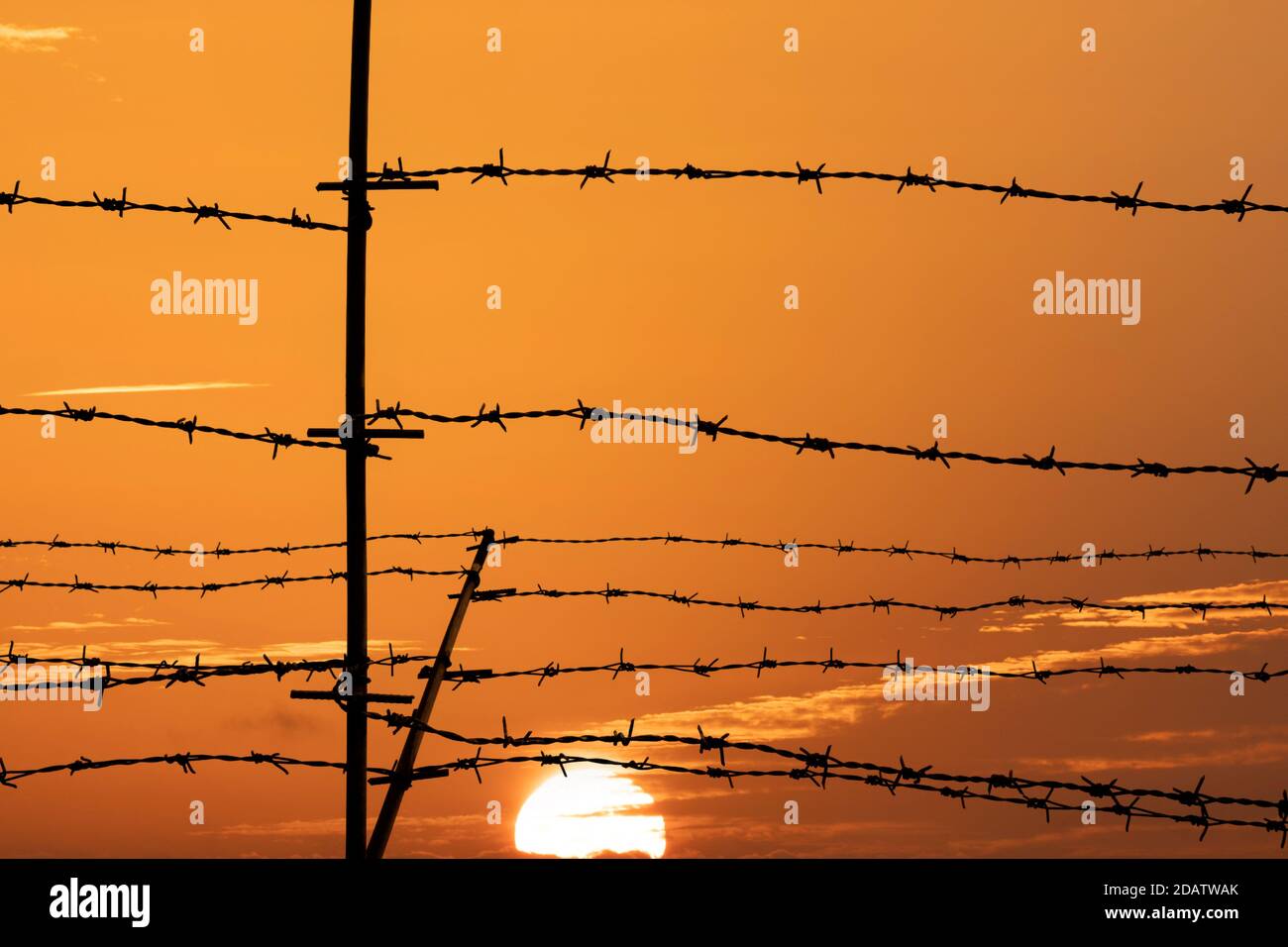 Silhouette of barbed wire fence on sunset background Stock Photo - Alamy