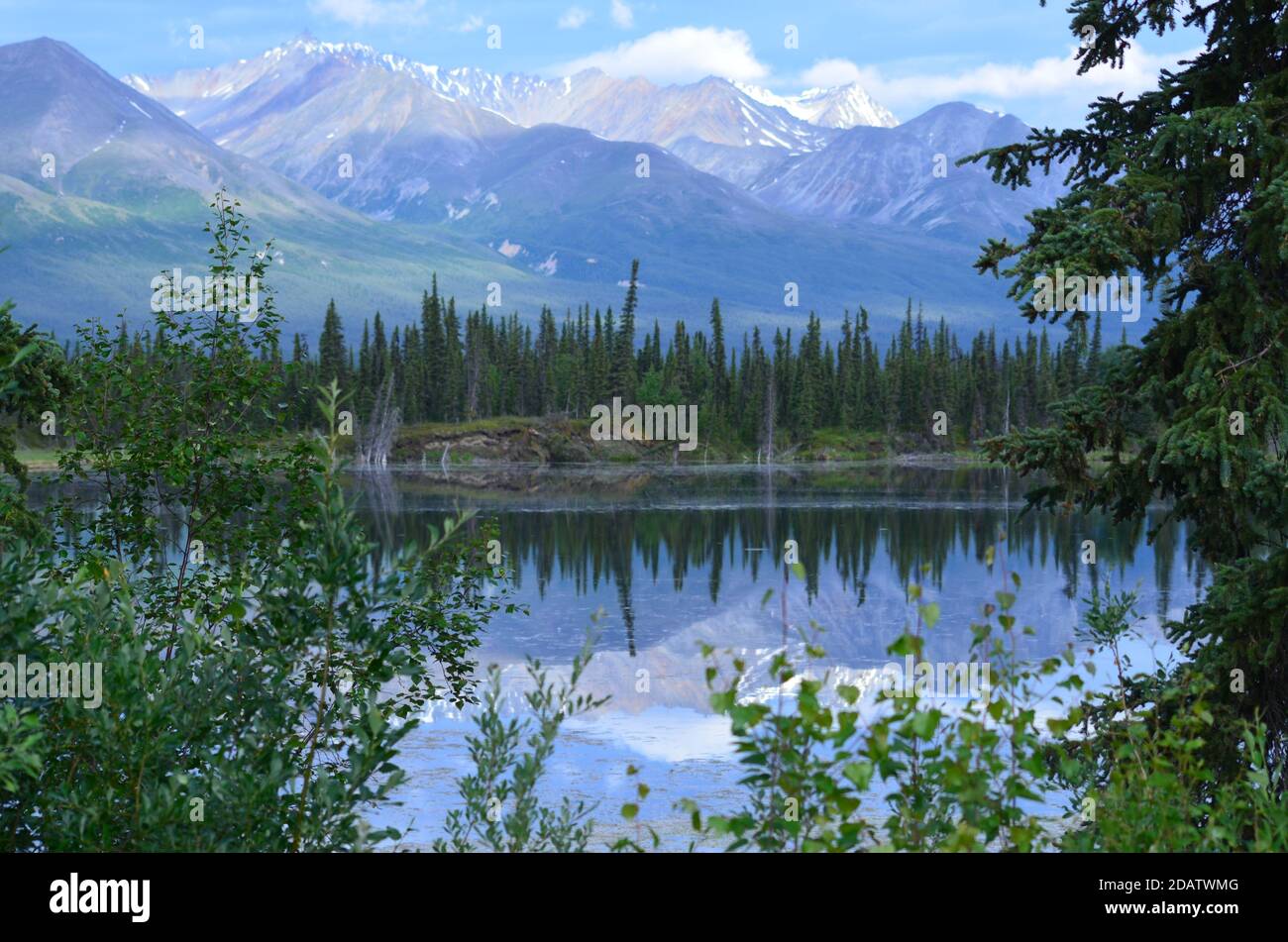 Alaska Kluane Nationalpark Stock Photo