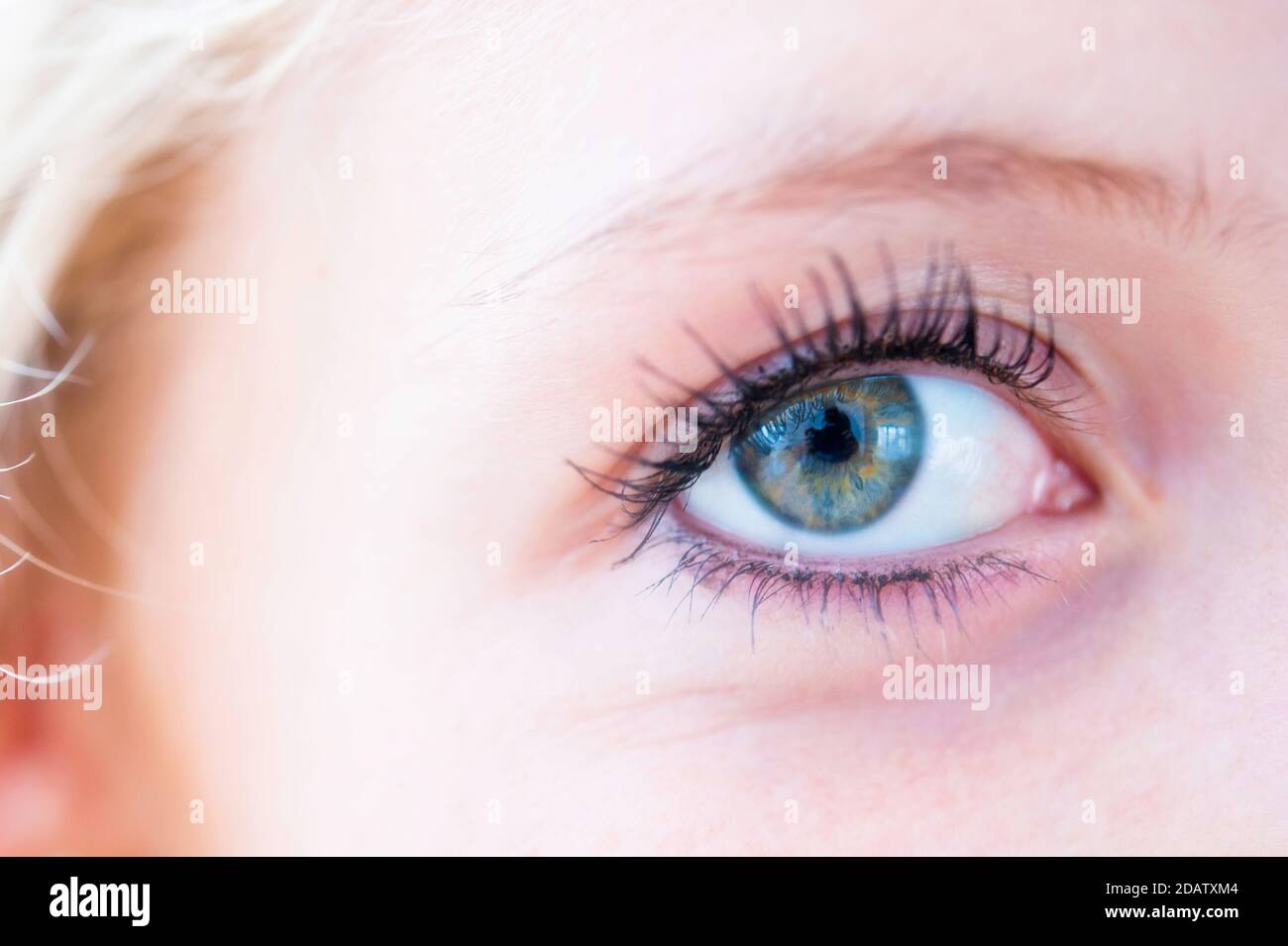 Woman eye close up hi-res stock photography and images - Alamy
