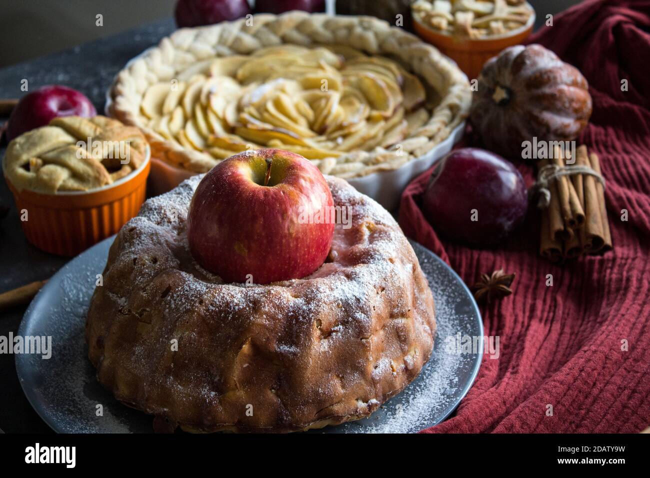 Dessert tarts on a table. Top view photo of various apple pies, cakes