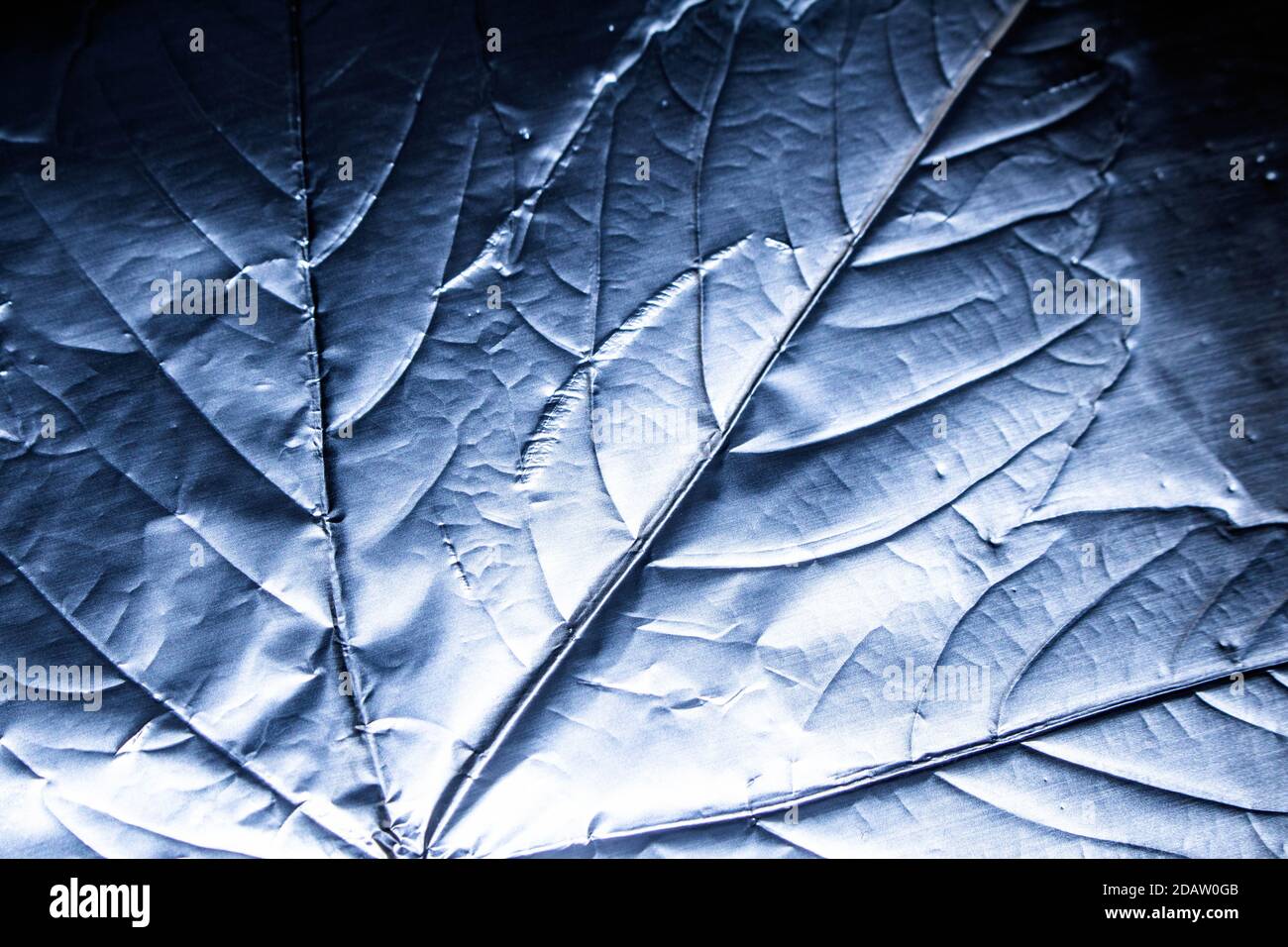 A Holographic Foil Leaf and Leaves with Veins Texture Shiny Pattern ...