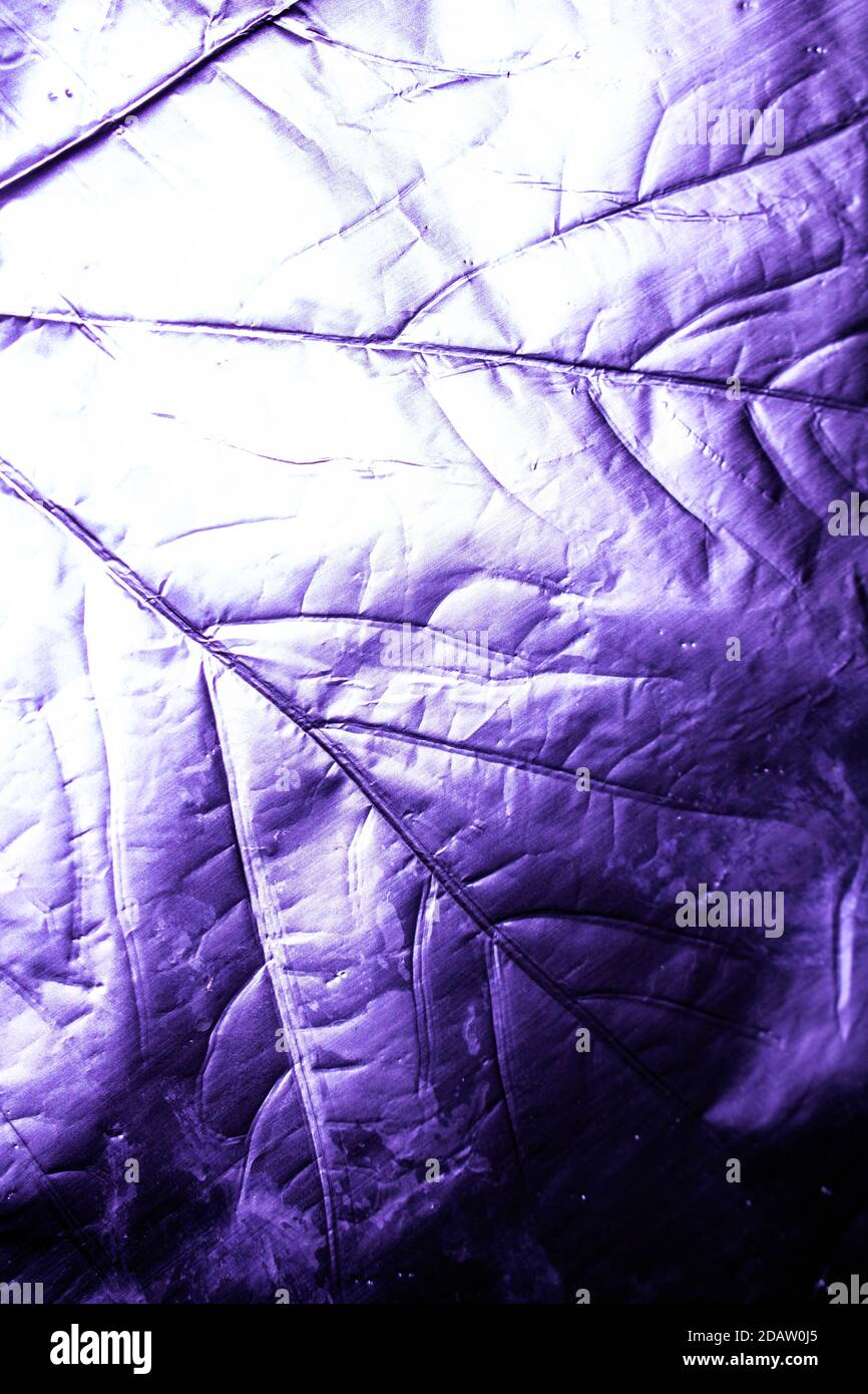 A Holographic Foil Leaf and Leaves with Veins Texture Shiny Pattern ...