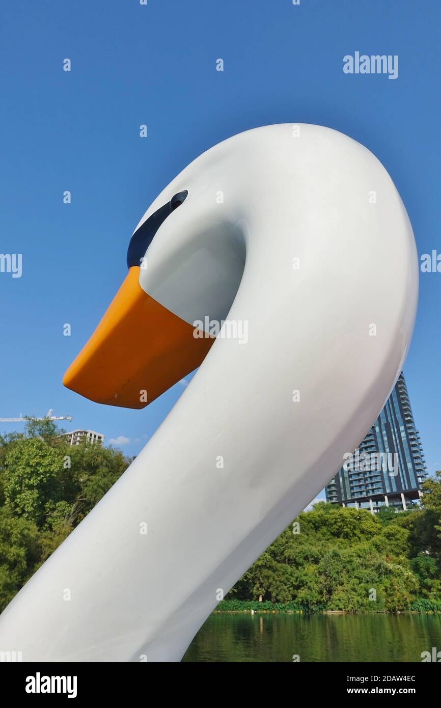AUSTIN, TX 18 SEP 2020 View of swan pedal boats on the Lady Bird Lake