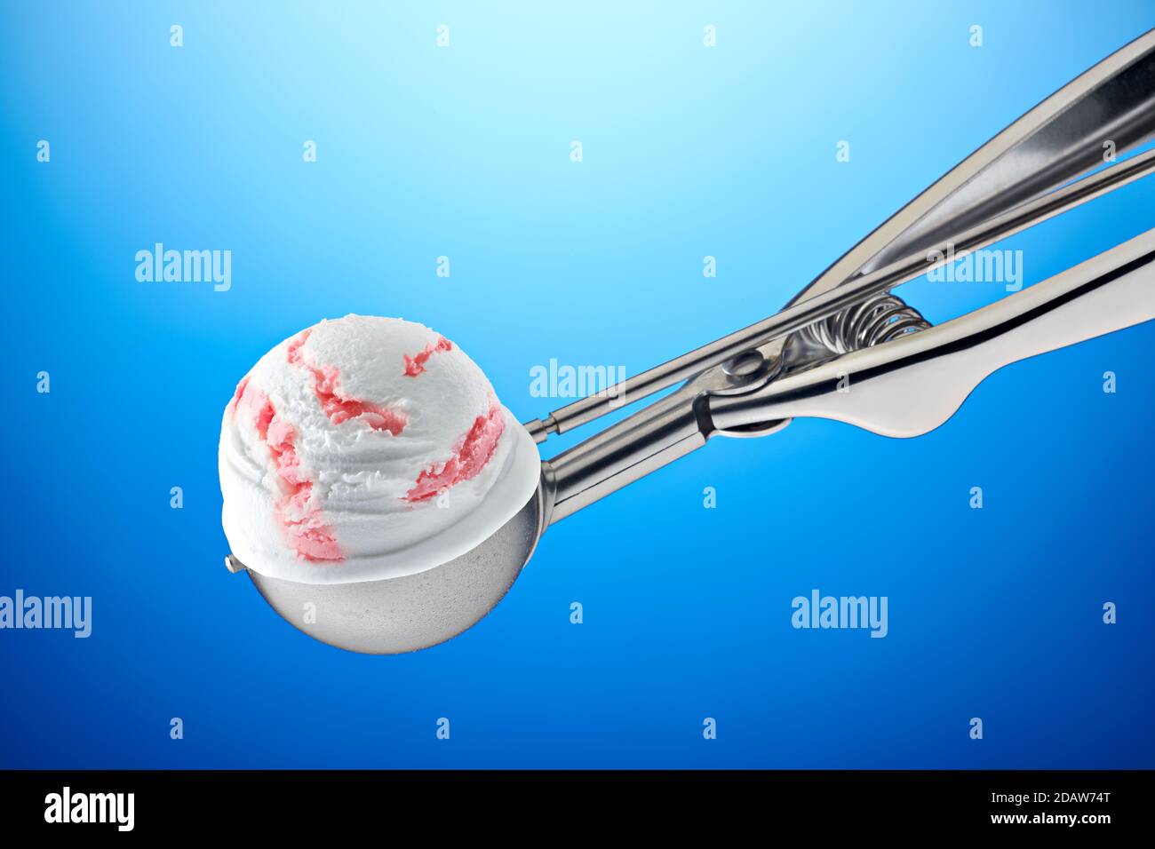 A scoop of variegated strawberry ice cream, on a dispenser, on a blue background. Stock Photo