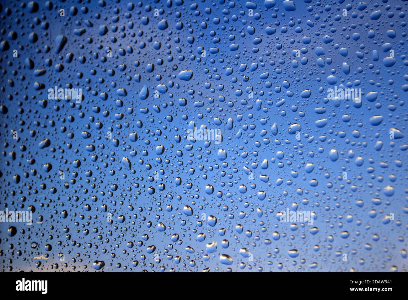 https://c8.alamy.com/comp/2DAW941/rain-drops-on-a-window-natural-abstract-pattern-blue-sky-background-selective-focus-2DAW941.jpg