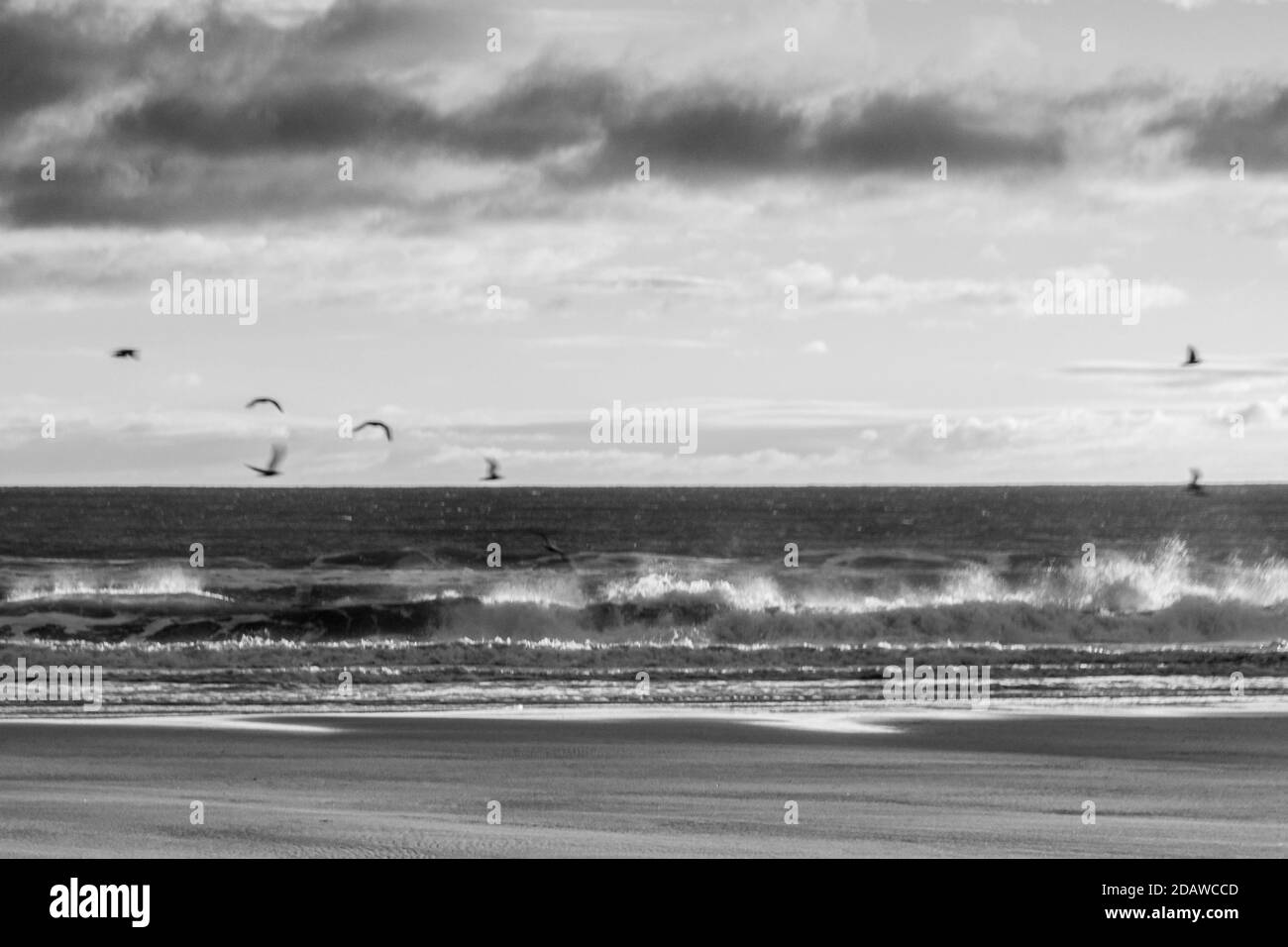 Sunrise ocean horizon Black and White Stock Photos & Images - Alamy