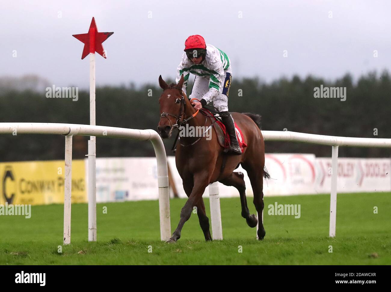 Hollow Games ridden by jockey Jamie Codd wins the Love Food At Rathsallagh Golf Club (Pro/Am) Flat Race during the Punchestown Winter Festival 2020 at Punchestown Racecourse, County Kildare, Ireland. Stock Photo