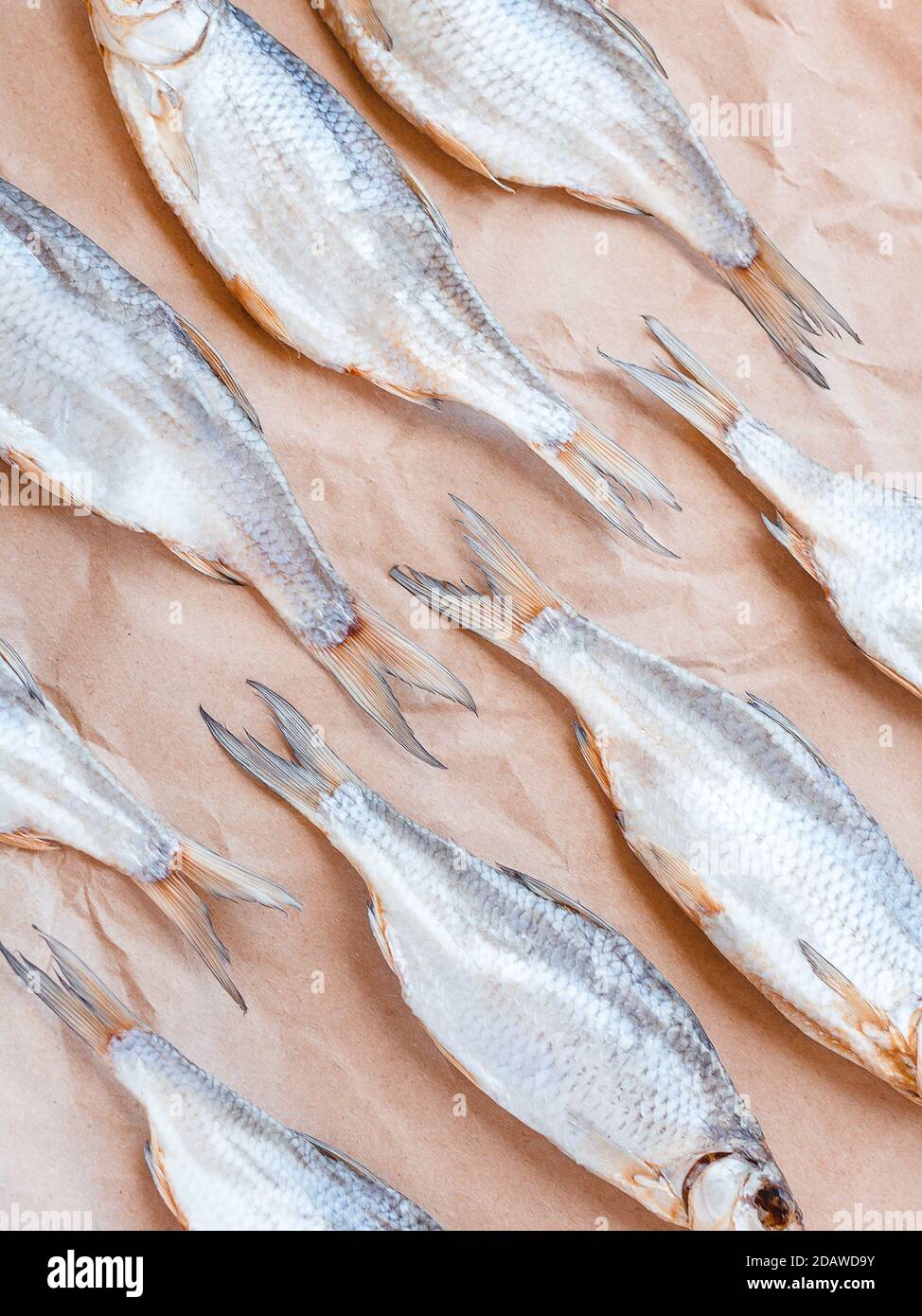 Dried fishes pattern with craft paper background. Vertical salted roach cover backdrop. Seafood snack poster decoration, flyer design. Fish frame promotion shop. Stock Photo