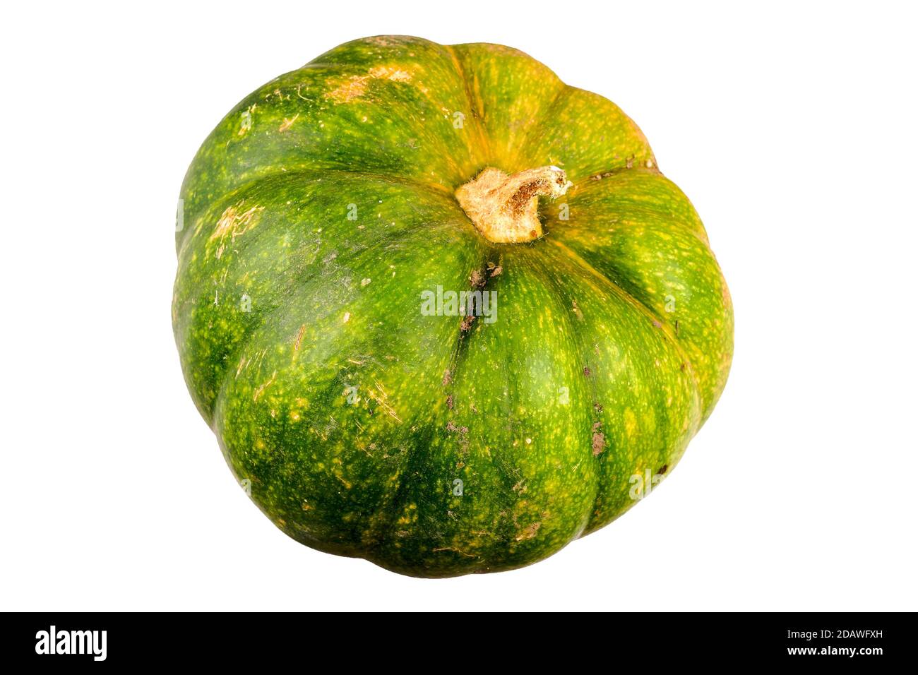 Yellow-green round pumpkin isolated on white background. Stock Photo