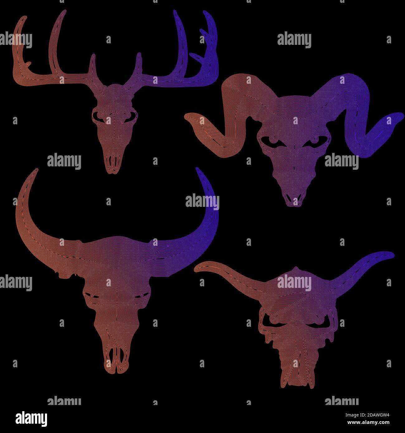 set of animal skull silhouette in color lines on white background, vector illustration, eps 10 Stock Vector